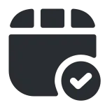 Video Tick SVG Icon